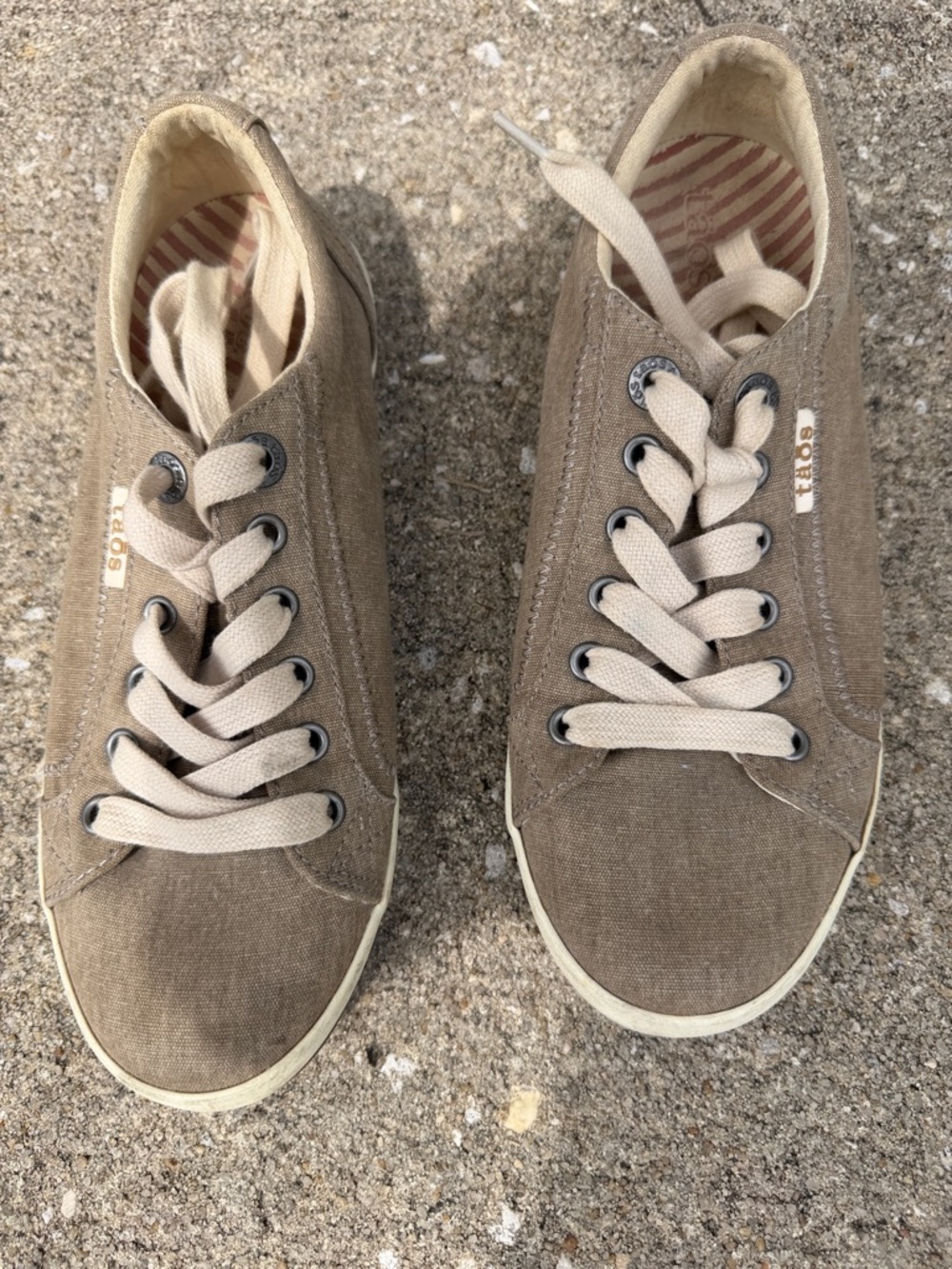 Taos Footwear Taupe Canvas Low-Top Sneakers